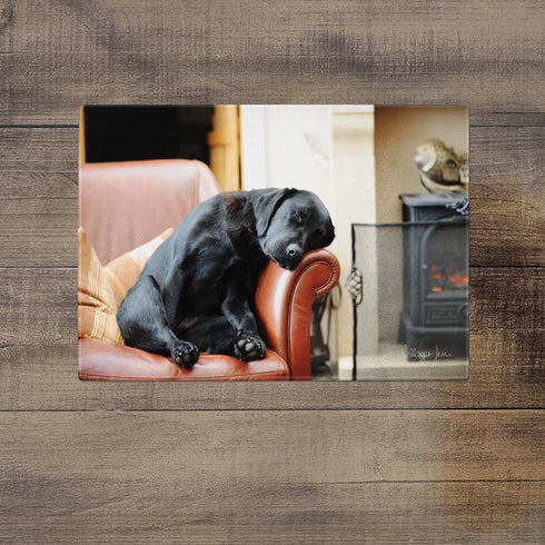 After the Walk - Glass Worktop Saver